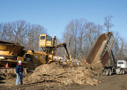 Providence Sister Dana Augustin stands next to natural materials that will soon be re-used in a biomass energy process to provide heat for her congregation&rsquo;s motherhouse at Saint Mary-of-the-Woods. (Submitted photo) 