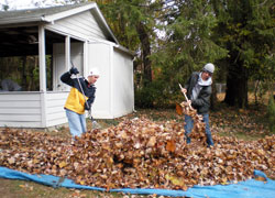 John Cecil, a junior at Indiana University, left, and Marco Regoli, a sophomore at Bloomington South High School, rake leaves in Frank and Lucille Albert&rsquo;s backyard in Bloomington on Nov. 8. &ldquo;Labor of Love&rdquo; is an outreach program sponsored by St. Charles Borromeo Parish in Bloomington, where&nbsp;high school and college students volunteer their services to help older people. (Photo by Mike Krokos) 
