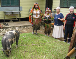 New Guinea women dressed in grass skirts and tribal head-dresses present a pig to Sister Barbara Piller, second from right, and Sister Maureen Mahon, right, during their visit to Mendi in October to mark the Oldenburg Franciscans&rsquo; five&nbsp;decades of missionary service in Papua New Guinea. (Photo courtesy of Sisters of St. Francis)