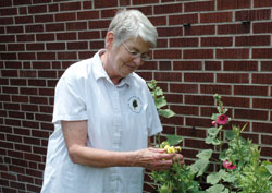 Even in the tough times of life, Benedictine&nbsp;Sister Angela Jarboe finds touches of faith, hope and promise in caring for flowers. (Photos by John Shaughnessy)