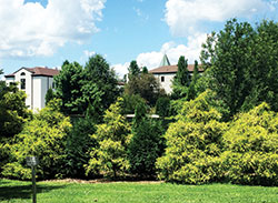 Structures of Gethsemani Abbey in Trappist, Ky., peek through the trees of the monastery grounds. The abbey, established by Trappist monks in 1848, resides in Nelson County, one of the three counties comprising the &ldquo;Kentucky Holy Land.&rdquo; (Photo by Natalie Hoefer)